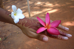 Ashoka-Zen