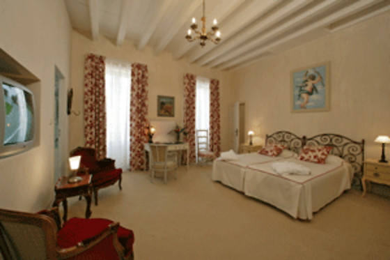 Le Manoir Saint Jean - photo 12