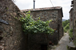 CASA DA URZE