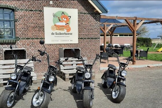 De Suikerhoeve - photo 5