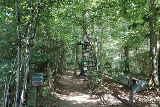 Rénac Aventure - photo 9