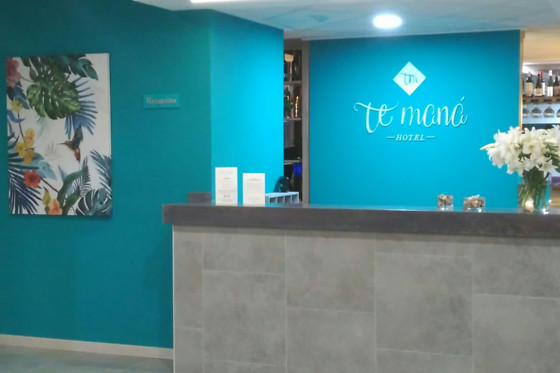TE MANA HOTEL - photo 5