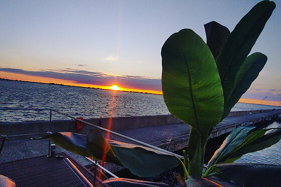 Floating Home Delta del Po - photo 8