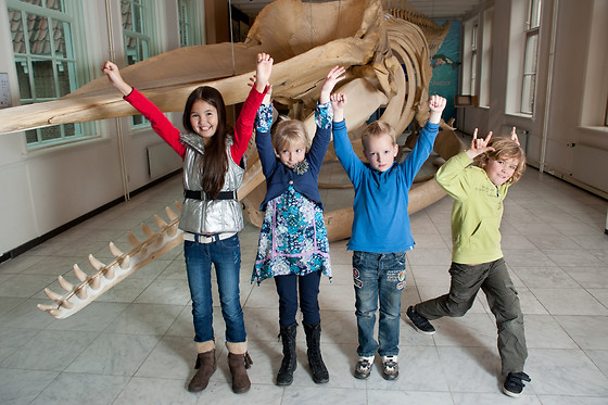 Natuur Museum Fryslân - photo 1