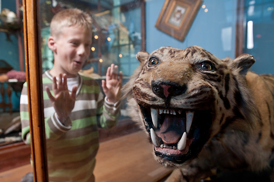 Natuur Museum Fryslân - photo 0