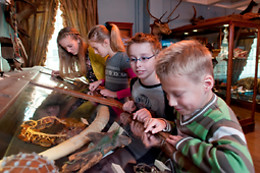 Natuur Museum Fryslân