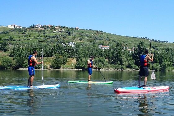 Naturimont - photo 3