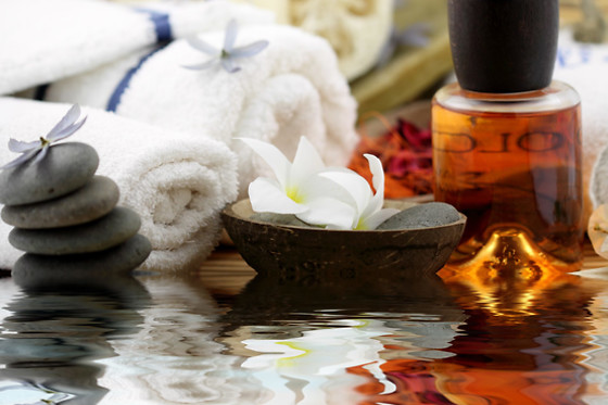 YVES ROCHER - photo 24