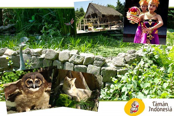 Dierenpark Taman Indonesia - photo 0
