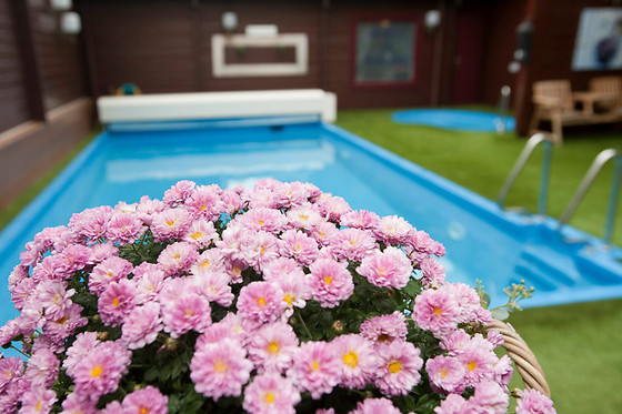 Sauna & Body Care Apeldoorn - photo 5