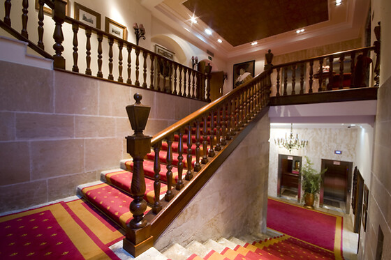 HOTEL PALACIO DE LA MAGDALENA - photo 7