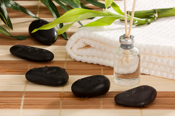 YVES ROCHER - photo 1