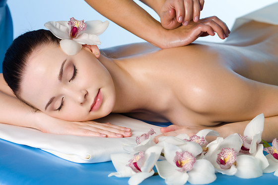 YVES ROCHER - photo 12