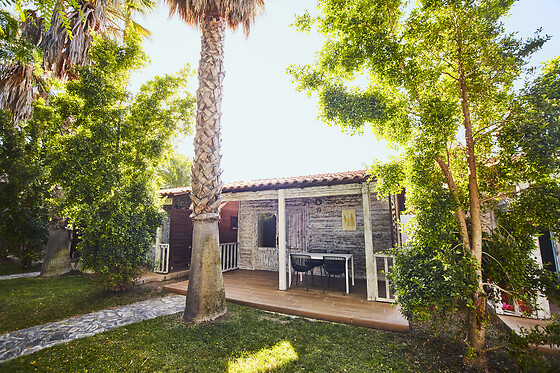 ALANNIA ELS PRATS - photo 5
