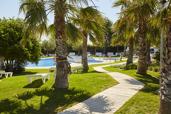 ALANNIA COSTA DORADA - photo 9