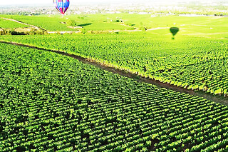 Vol en Montgolfière à Beaune (21) - Tarif adulte - Week-end