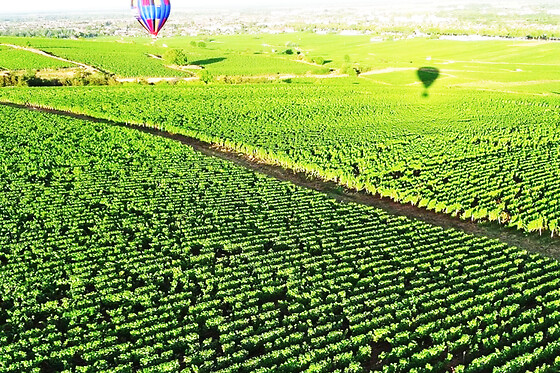 Vol en Montgolfière à Beaune (21) - Tarif adulte - Week-end