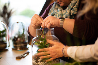 Atelier terrarium à Moirans (38)