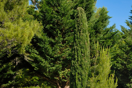 HOTEL SANTA CECILIA - photo 2