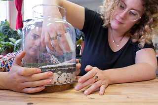 Atelier terrarium à Reims (51)