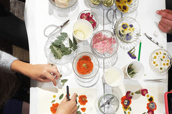 Atelier pressage de fleurs et composition d'herbier à Marseille