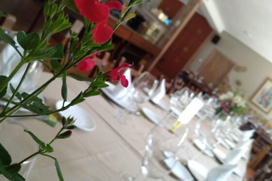 BALNEARIO CASA PALLOTTI - photo 18