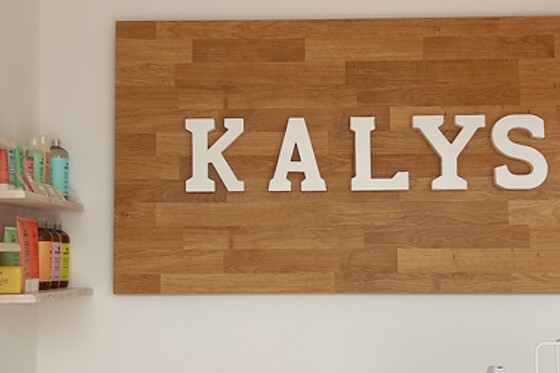 Kalys  Institut - photo 1