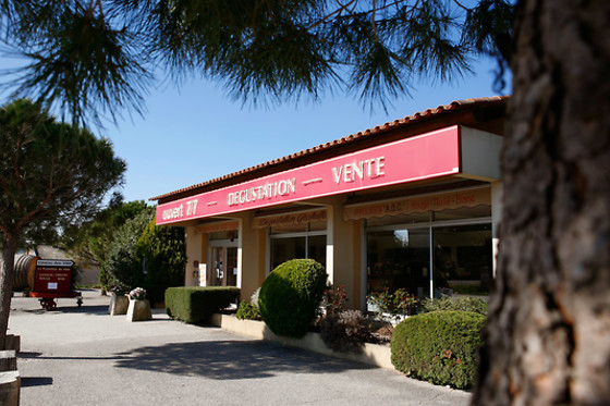 VMV Vignerons du Mont Ventoux - photo 3