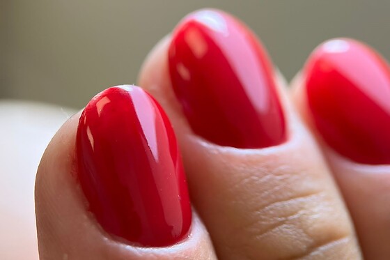 Fifty Shades of Beauty - photo 6