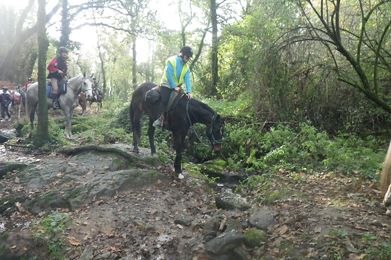 Centre Equestre La Champagne - photo 2
