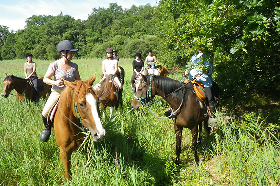 Centre Equestre La Champagne - photo 3