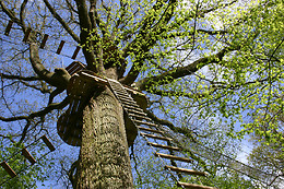 AVENTURA AMAZONIA PELAYOS
