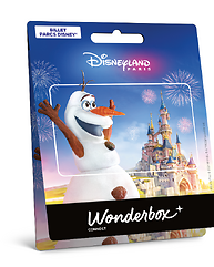 Carte Disneyland® Paris Olaf