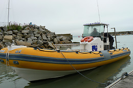 Cap Anglo