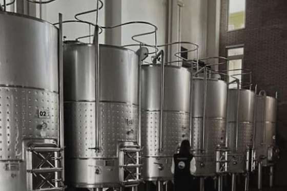 BODEGAS PETRÓN - photo 9