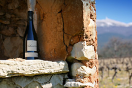 Vignerons du Mont Ventoux