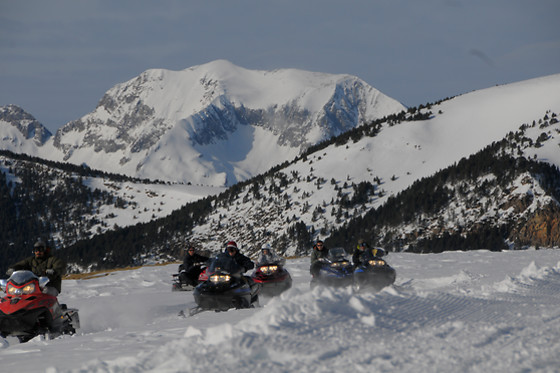 SLEDS - photo 3