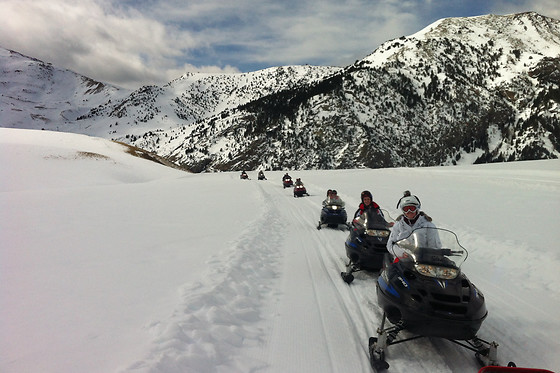 SLEDS - photo 0