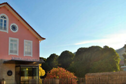 Ribeira Collection Hotel