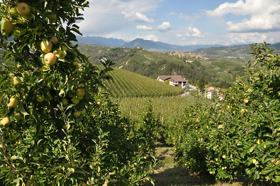 Antica Residenza de Poda - photo 7
