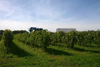Cours de cuisine au Maine des Moreaux à Péreuil (16)