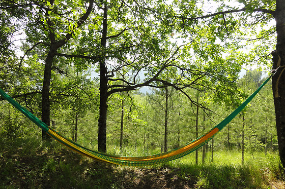 Oasis de Bellecombe - photo 4