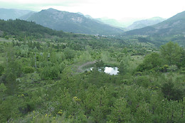 Oasis de Bellecombe