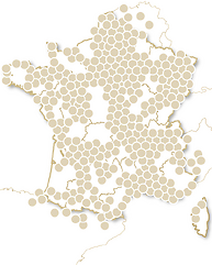 Pour des amis en or