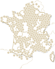 Pour des amis en or