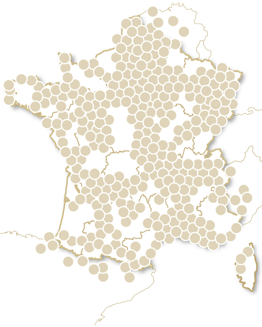 Pour des amis en or