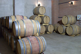 BODEGA MONASTRELL