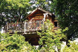 A L'orée des chênes