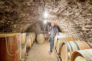 Visite et dégustation en duo au Domaine François Bergeret à Nolay (21)