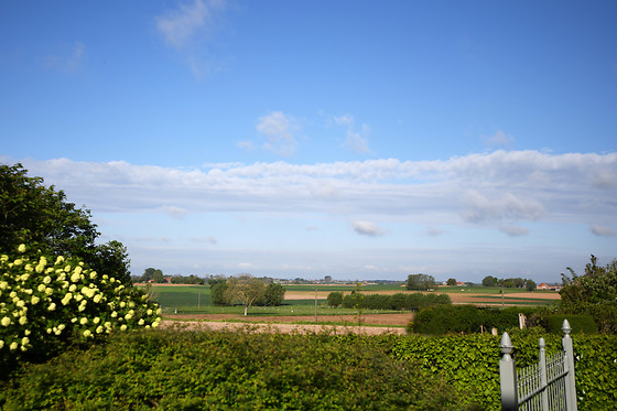 B&B 't Rijsgat - photo 8